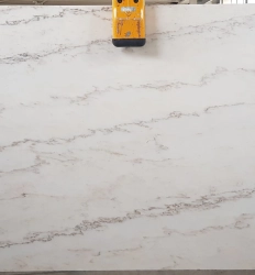 Rosa Portogallo Estremoz